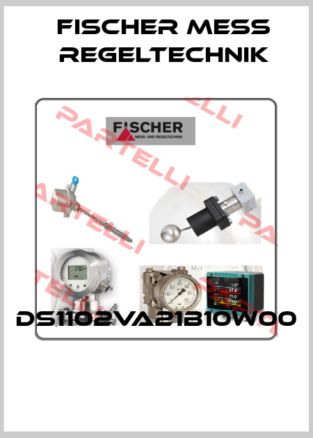 DS1102VA21B10W00  Fischer Mess Regeltechnik