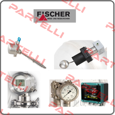 DS1102VA21B10W00  Fischer Mess Regeltechnik