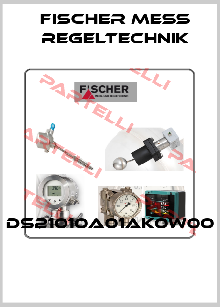 DS21010A01AK0W00  FISCHER Mess-und Regeltechnik