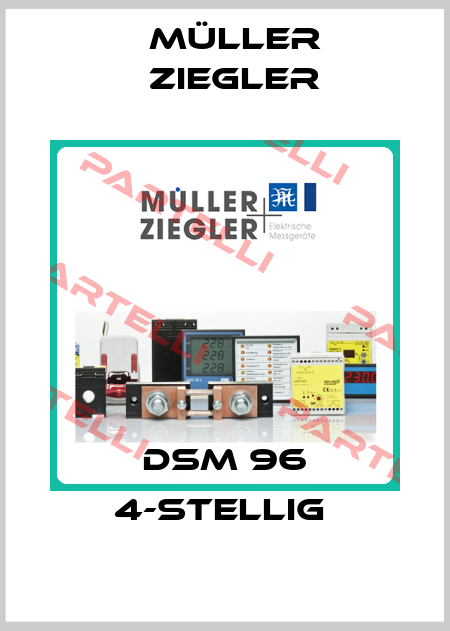 DSM 96 4-stellig  Müller Ziegler