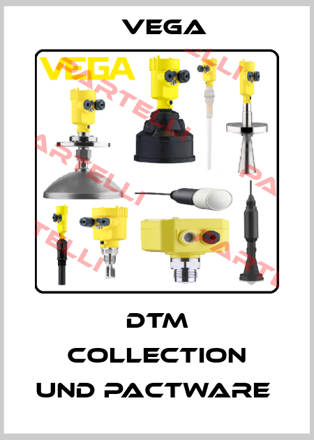 DTM COLLECTION UND PACTWARE  Vega