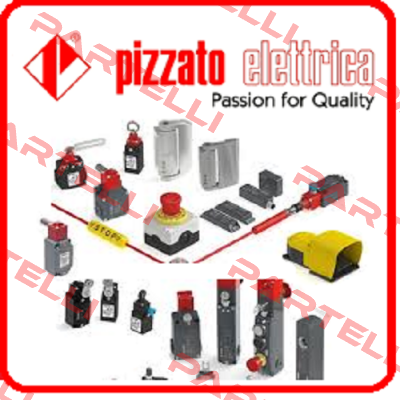 FD 705-2M2  Pizzato Elettrica