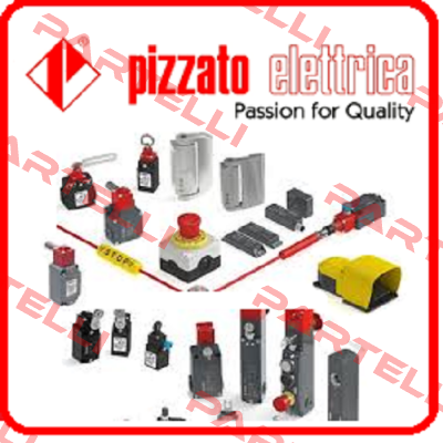 FL505  Pizzato Elettrica