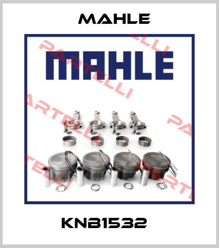 KNB1532   Mahle