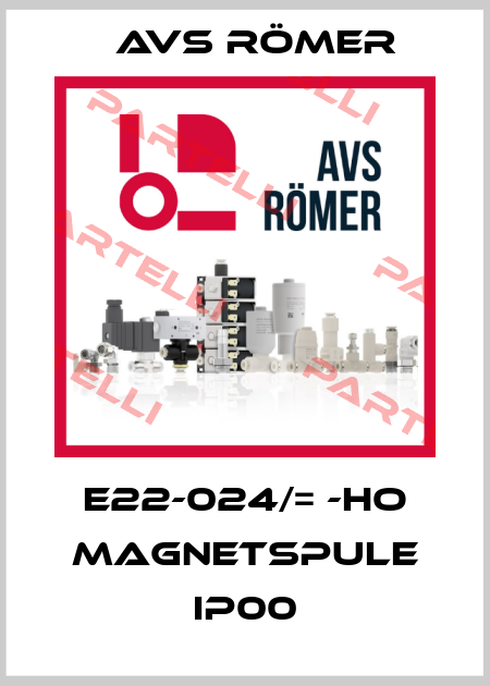 E22-024/= -HO MAGNETSPULE IP00 Avs Römer