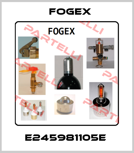 E245981105E  Fogex