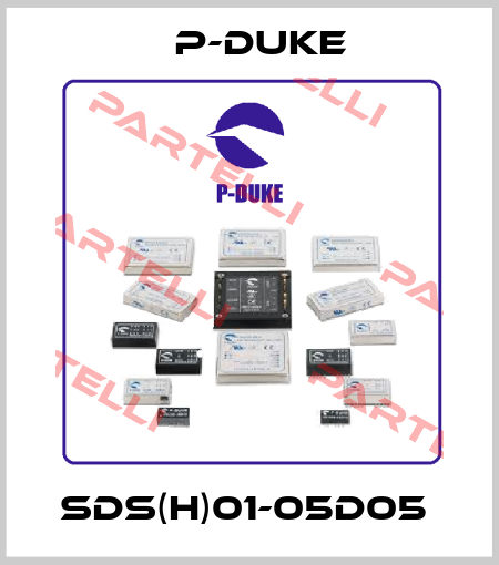 SDS(H)01-05D05  P-DUKE