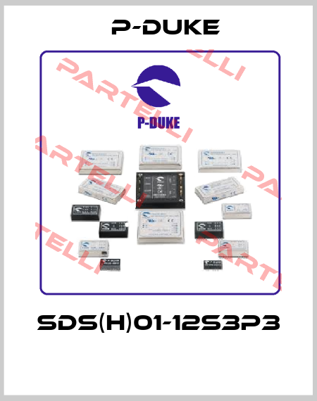 SDS(H)01-12S3P3  P-DUKE