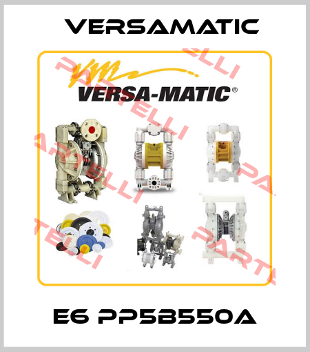E6 PP5B550A VersaMatic