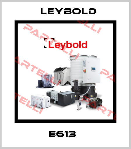 E613   Leybold