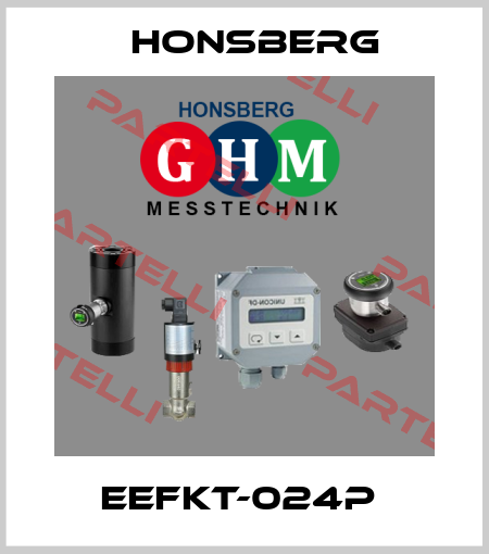 EEFKT-024P  Honsberg