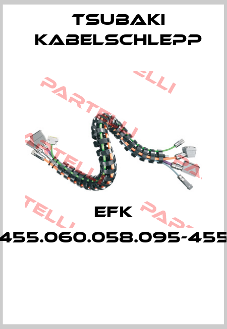 EFK 0455.060.058.095-4550  Tsubaki Kabelschlepp