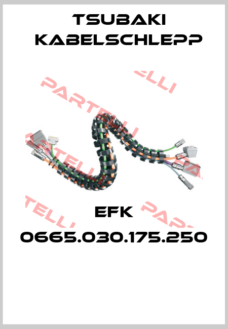 EFK 0665.030.175.250  Tsubaki Kabelschlepp