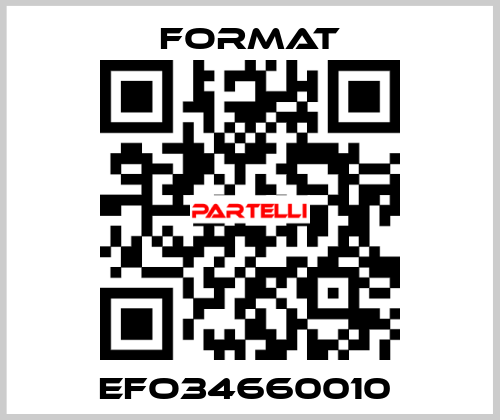 EFO34660010  Format