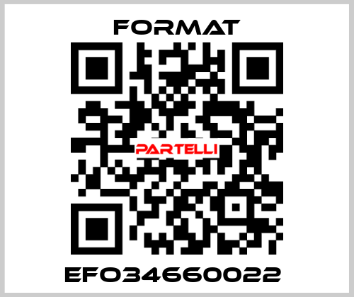 EFO34660022  Format