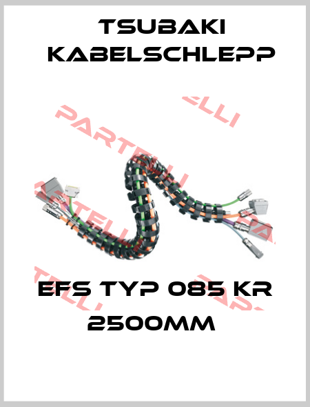 EFS TYP 085 KR 2500MM  Tsubaki Kabelschlepp