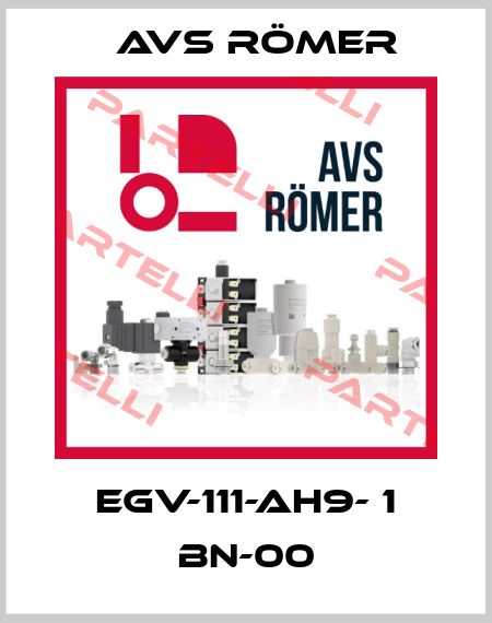 EGV-111-AH9- 1 BN-00 Avs Römer