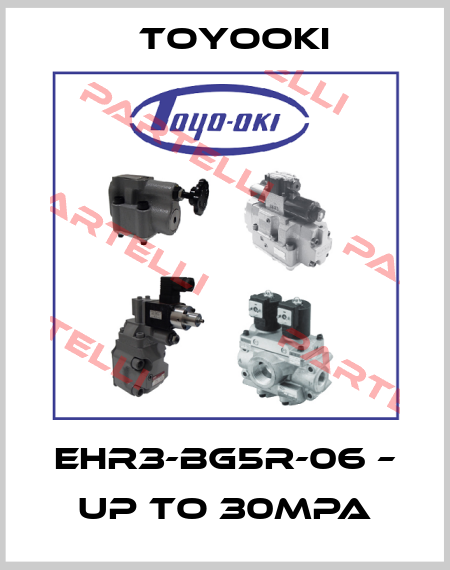 EHR3-BG5R-06 – UP TO 30MPA Toyooki