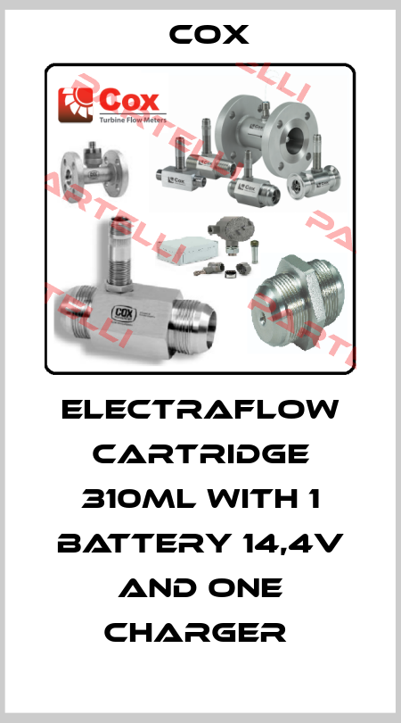 ELECTRAFLOW CARTRIDGE 310ML WITH 1 BATTERY 14,4V AND ONE CHARGER  Cox