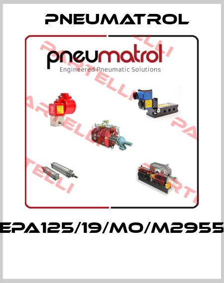 EPA125/19/MO/M2955  Pneumatrol