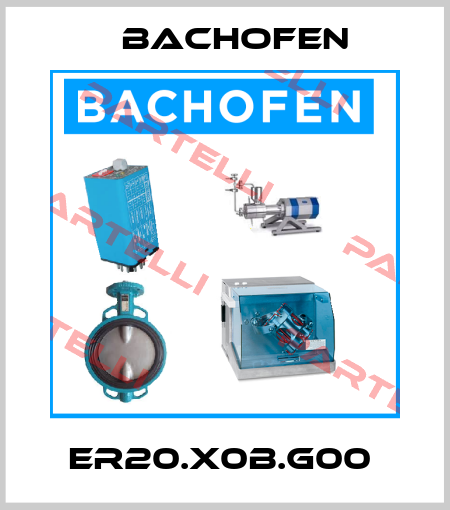 ER20.X0B.G00  Bachofen