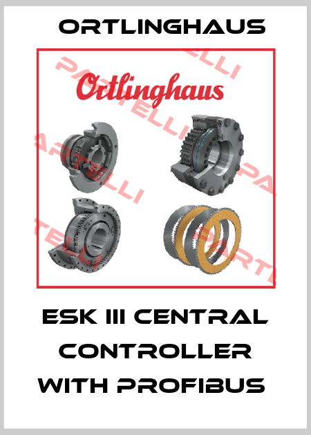 ESK III CENTRAL CONTROLLER WITH PROFIBUS  Ortlinghaus