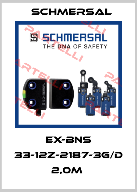 EX-BNS 33-12Z-2187-3G/D 2,0M  Schmersal