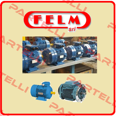 F2  315M4, POWER (KW) 132, POLES 4, MTG B3, VOLTAGE 400V 50HZ  Felm