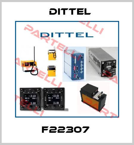 F22307  Dittel