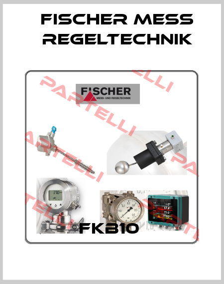 FKB10  FISCHER Mess-und Regeltechnik