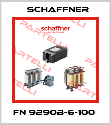 FN 9290B-6-100  Schaffner