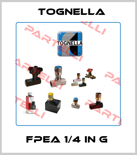 FPEA 1/4 IN G  Tognella