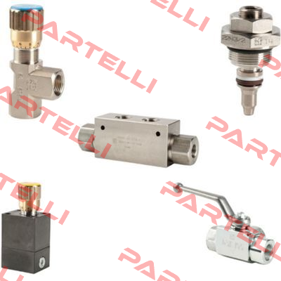 FT2251-2-01-38 NPT Tognella