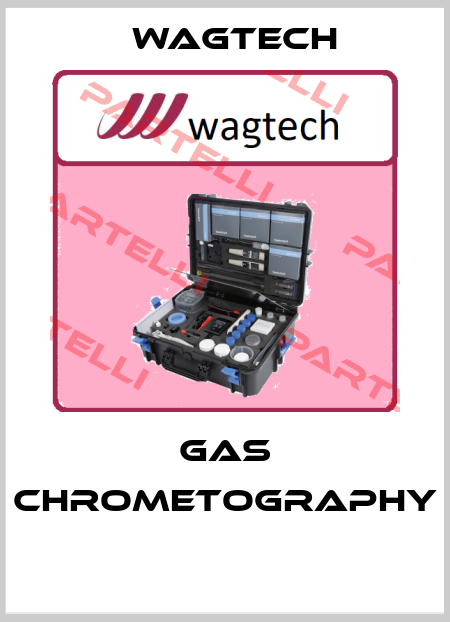 GAS CHROMETOGRAPHY  Wagtech