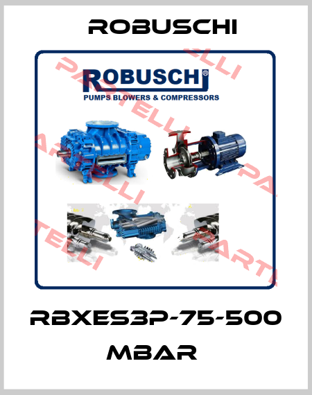 RBXES3P-75-500 mbar  Robuschi