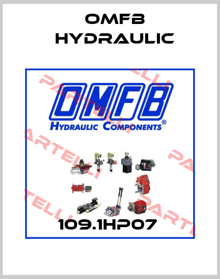 109.1HP07  OMFB Hydraulic