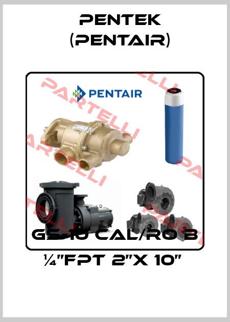 GS-10 CAL/RO B ¼”FPT 2”X 10”  Pentek (Pentair)