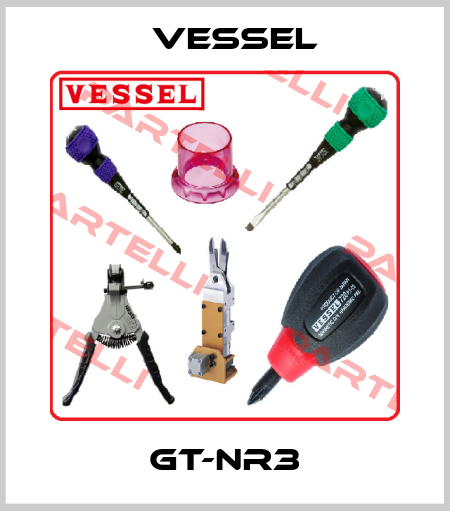 GT-NR3 VESSEL
