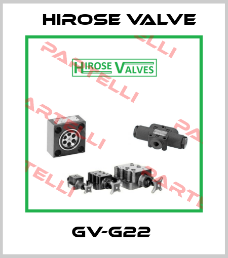 GV-G22  Hirose Valve