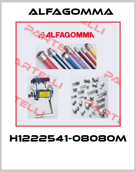 H1222541-08080M  Alfagomma