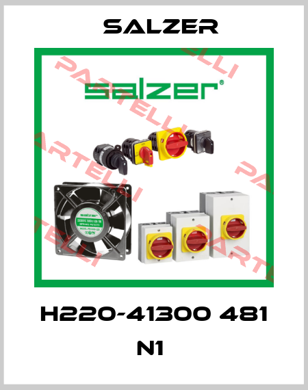 H220-41300 481 N1  Salzer