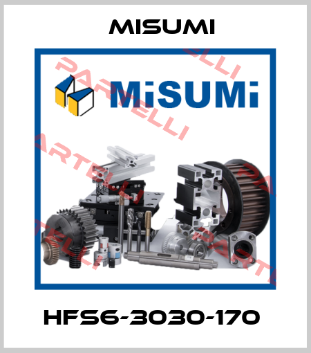HFS6-3030-170  Misumi