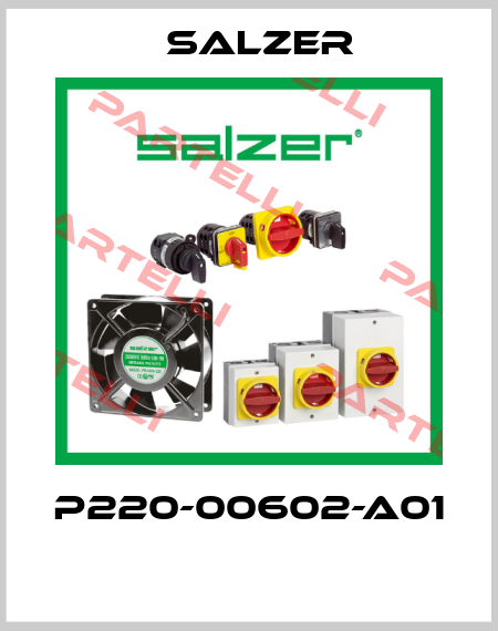 P220-00602-A01  Salzer