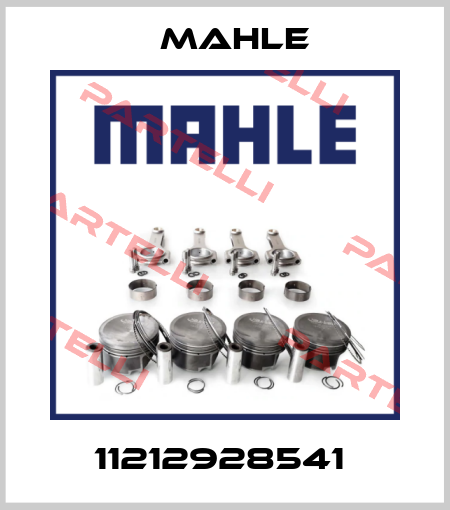11212928541  Mahle