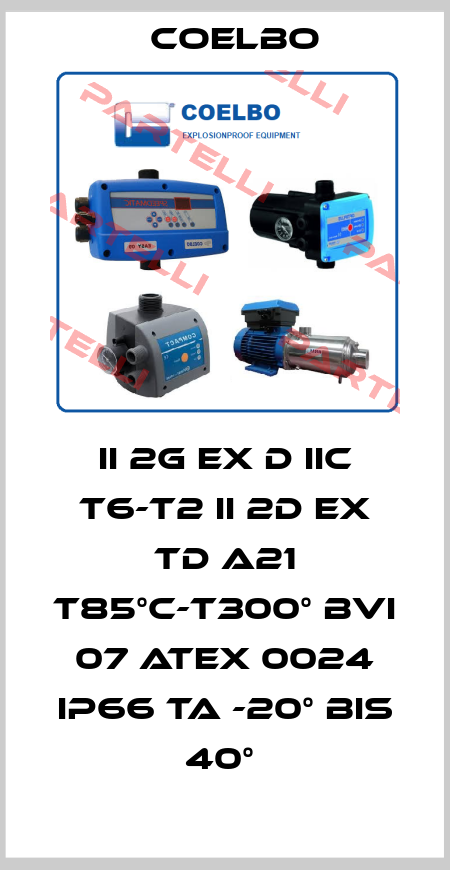 II 2G EX D IIC T6-T2 II 2D EX TD A21 T85°C-T300° BVI 07 ATEX 0024 IP66 TA -20° BIS 40°  COELBO