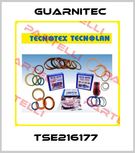 TSE216177  TECNOTEX