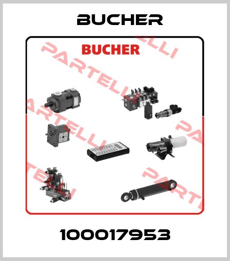 100017953 Bucher Hydraulics