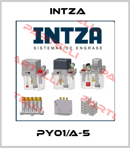 PY01/A-5  Intza