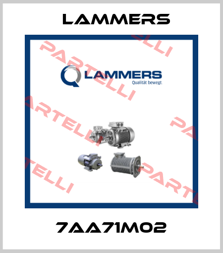 7AA71M02 Lammers