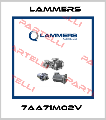 7AA71M02V  Lammers